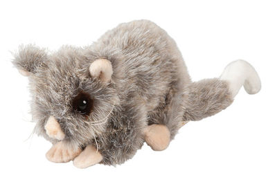 S7171_LittlePeter.jpg